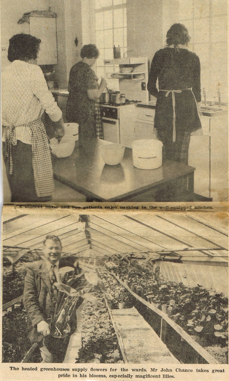 photos: kitchen, greenhouse